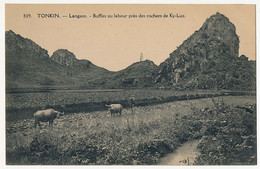 CPA - TONKIN - Langson - Bufles Au Labour Près Des Rochers De Ky-lun - Viêt-Nam