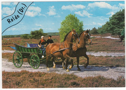 Rolde - (Drenthe, Nederland / Holland) - Nr. 662 - Paarden, Kar, Heide, Klederdrachten - ('Rolde' In Blauw Banner) - Rolde