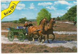 Rolde - (Drenthe, Nederland / Holland) - Nr. L 1921 - Paarden, Kar, Heide, Klederdrachten - ('Rolde' In Geel Banner) - Rolde