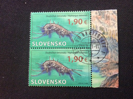 2021 Yvert 829 Paire Oblitéré Niphargus Tatrensis Des Grottes De Demanovska - Used Stamps