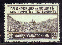 BULGARIA BULGARIE BULGARIEN 1925 1929 POSTAL TAX STAMPS VIEW OF SANATORIUM PESHTERA 1L MNH - Timbres-taxe