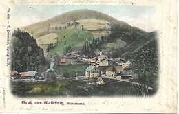 1902 - WALDBACH  Gem  HARTBERG ,  Gute Zustand, 2 Scan - Hartberg