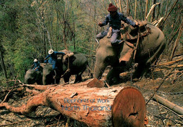 CPM - Northern THAÏLAND - ELEPHANT At Work... Edition Artcard - Tailandia