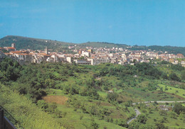 (T002) - AGNONE (Isernia) - Panorama Visto Dalla Ripa - Isernia