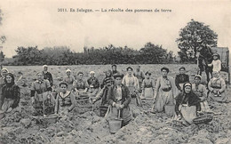 En Sologne Ou Gatinais     45    La Récolte Des Pommes De Terre     N° 2011  (voir Scan) - Autres & Non Classés