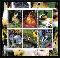 2095/ Bloc Lapin Rabbit Neuf ** MNH Tirage Privé Vignette - Conigli