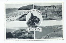 Postcard Cornwall St.ives Scotty Dog Multiview Greetings From  Posted 1960 - St.Ives