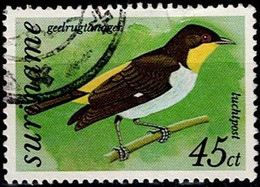 Suriname - Halsbandkotinga (Cotinga Cayana) (MiNr: 783) 1977 - Gest Used Obl - Surinam