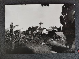 JERUZALEM - SLOVENIA (ex Yugoslavia), Postcard 1960s (S7) - Slowenien
