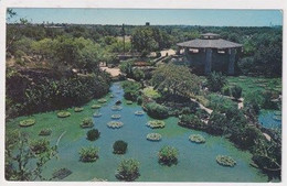 AK 033916 USA - Texas - San Antonio - Chinese Sunken Garden In Brackenridge Park - San Antonio