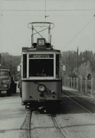 Reproduction - REUTLINGEN - Tramway - Eisenbahnen