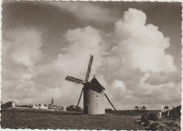 Finistère : CLEDEN Cap SIZUN , Vieux  Moulin Et Village , Yvon - Beuzec-Cap-Sizun