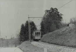 Reproduction - REUTLINGEN - Tramway - Eisenbahnen