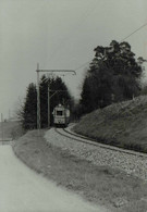 Reproduction - REUTLINGEN - Tramway - Ternes