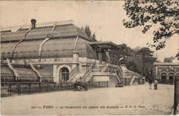 CPA PARIS 5e Jardin Des Plantes Palmarium (35266) - Museos