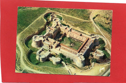 66----CHATEAU FORT DE SALSES---vue Du Ciel---voir 2 Scans - Salses