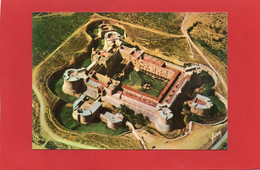 66----CHATEAU-FORT DE SALSES--vu Du Ciel---voir 2 Scans - Salses