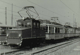 Reproduction - STUTTGART - Tramway - Trains