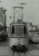 Reproduction - STUTTGART - Tramway - Trains