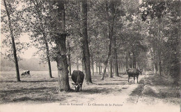 78 - BOIS De VERNEUIL - Le Chemin De La Pature (vaches) - Verneuil Sur Seine