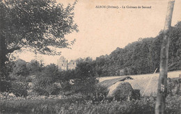 ALBON (Drôme) - Le Château De Senaud - Other & Unclassified
