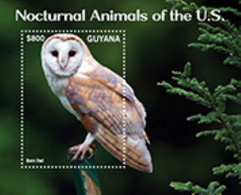 2021-09 - GUYANA - NOCTURNAL ANIMALS    OWLS                            6V    MNH** - Aigles & Rapaces Diurnes