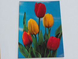 3d 3 D Lenticular Stereo Postcard Tulips  1981 A 214 - Stereoscope Cards