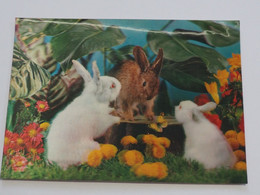 3d 3 D Lenticular Stereo Postcard Rabbits  A 214 - Stereoskopie