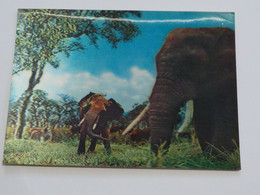 3d 3 D Lenticular Stereo Postcard Elephants   A 215 - Stereoscope Cards