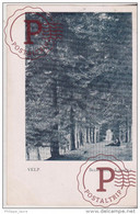 1903  BEEKHUIZEN   Laantje    Velp - Velp / Rozendaal