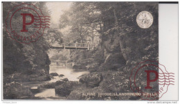 Alpine Bridge Llandrindod Wells - Radnorshire