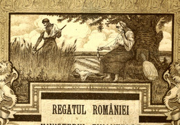 1920 Superbe !! ACTION ROUMANIE ROMANIA Bucarest REGATUL ROMANIEI IMPRUMUTUL INTERN EMPRUNT 5% VOIR SCANS - Banco & Caja De Ahorros
