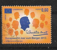 Timbres Oblitérés Du Luxembourg N°1906 YT, 2013, Année Des Citoyens - Gebraucht