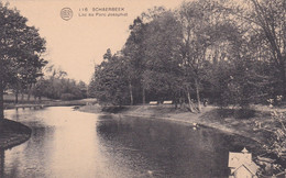 116 - Schaerbeek - Lac Au Parc Josaphat - Schaarbeek - Schaerbeek