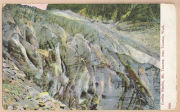 US.- COWLITZ GLACIER, Mt. TACOMA, NEAR TACOMA, WASH. POST CARD - Tacoma