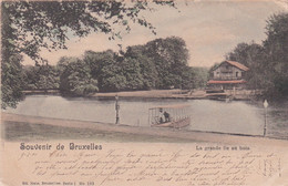 Souvenir De Bruxelles - La Grande Ile Au Bois - 1901 ! - Ed. Nels, Bruxelles. Serie 1 N° 103 - Bossen, Parken, Tuinen