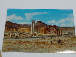 Syria Palmyra Great Colonnade   A 215 - Syria