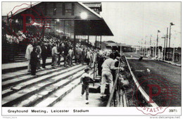 GREYHOUND MEETING LEICESTER, STADIUM - Leicester