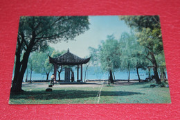 China Chine Shanghai Pekin Peking Listening To Orioles In The Willows 1993 - China