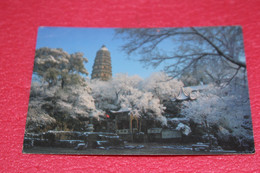 China Chine Shanghai Pekin Peking Suzhou Snow On Huqui Hill 1996 + Nice Stamps - China