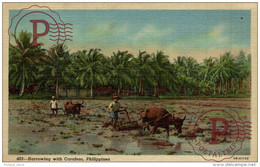 PHILIPPINES HARROWING WITH CARABAO - Philippines