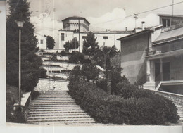 BARBARA ANCONA SCALINATA GIARDINI VG - Ancona