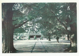 North Korea, Kaesong, Sungyang Wan Pavilion, Cirillic Script On Back Side. - Korea (Noord)