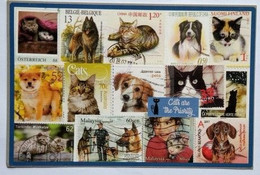 Animals On Stamps Of The World - Timbres (représentations)