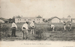 01 Travaux De Culture En Bresse Fenaison Agriculture - Sin Clasificación