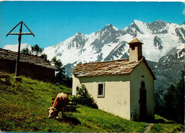 Trifialp Im Saastal - Saas Im Prättigau