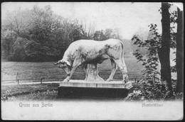 Berlin - Alte Postkarte Ca. 1900 - Stier Im Humboldthain - Mitte