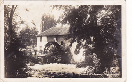 506/ Sittart, Ophoven, Watermolen, 1950 - Sittard