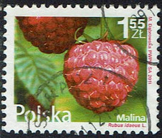 Polen 2011, MiNr 4546, Gestempelt - Usados