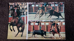 CPSM TAUREAU CHEVAL CAVALIER DON ANGEL PARALTA ET DON ALVARO DOMECQ REJONEADORES TORERO TOREADOR ? CORRIDA ? - Bull